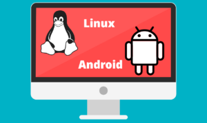 Dual Boot Phoenix OS with Linux